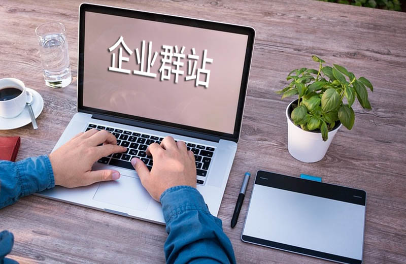 群站应该怎么做？